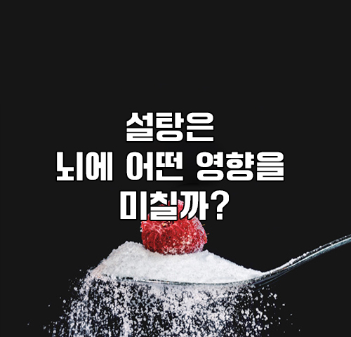 설탕과 뇌