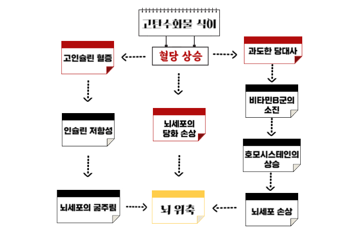 고탄수화물식이