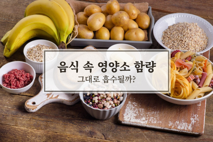 음식 속 영양소는 함량 그대로 흡수되지 않는다 건강하게 다이어트하기