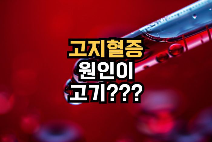 고지혈증 원인이 고기