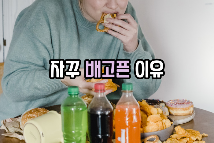 자꾸 배고픈 이유