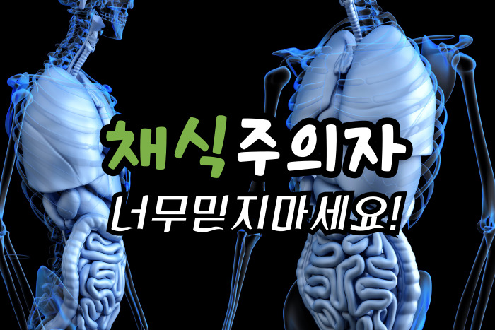 채식주의자 해석