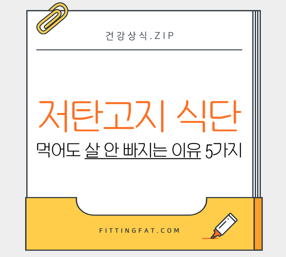 저탄고지 식단 먹어도 살 안 빠지는 이유